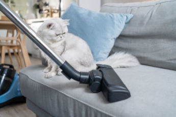 pulizia dell'ambiente domestico con aspirapolvere filtro HEPA per ridurre gli allergeni degli animali