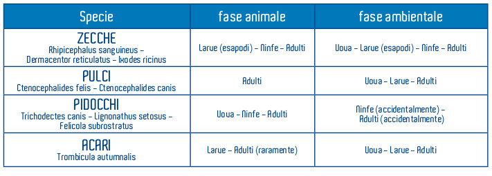 ZECCHE_PULCI_PIDOCCHI_ACARI.jpg