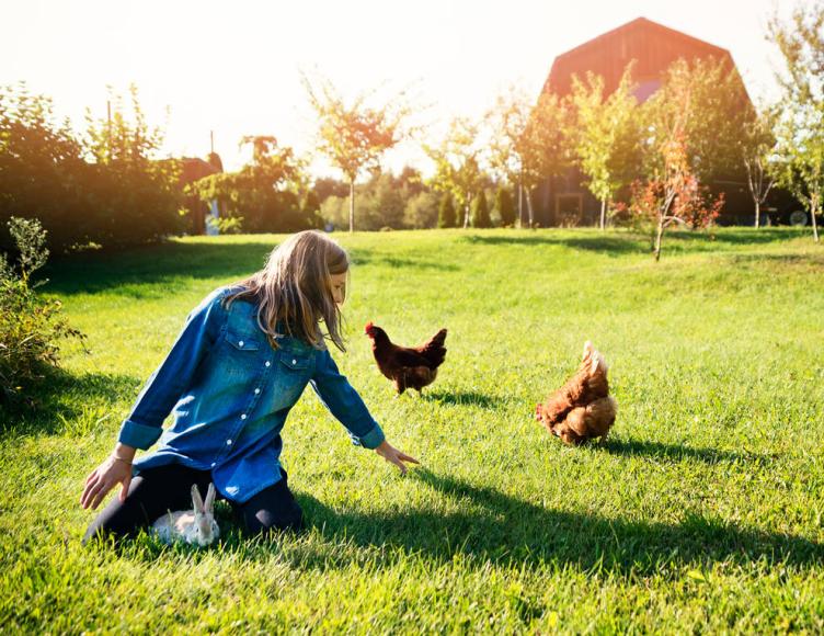 Recinto Per Galline E Conigli PawHut - 5.7x2.8m Con Telo Anti-UV, Acciaio Galvanizzato